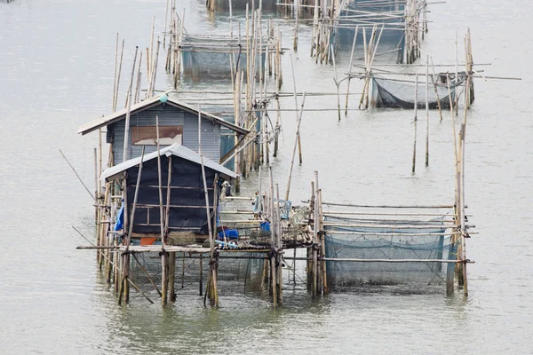 Coop för utfodring av fisk i öster om Thailand havet. — Stockfoto
