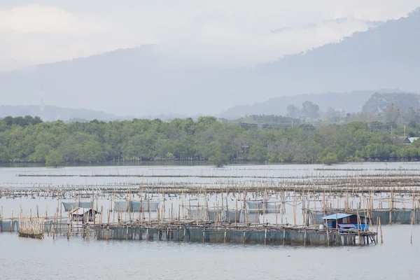 Le poulailler pour nourrir les poissons dans l'est de la mer de Thaïlande . — Photo