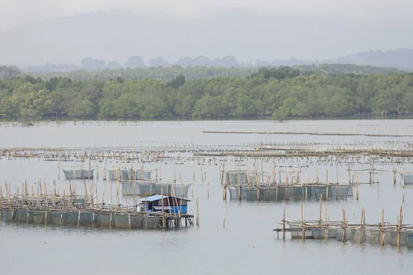 De coop voor het voederen van vis in ten oosten van Thailand zee. — Stockfoto