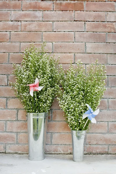 Blumen und Nadelrad in den Zinkblumentöpfen. — Stockfoto
