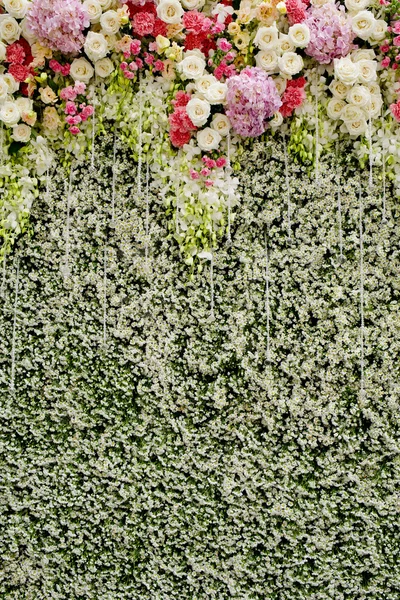 Bunte Blumen mit grüner Wand als Hochzeitskulisse — Stockfoto