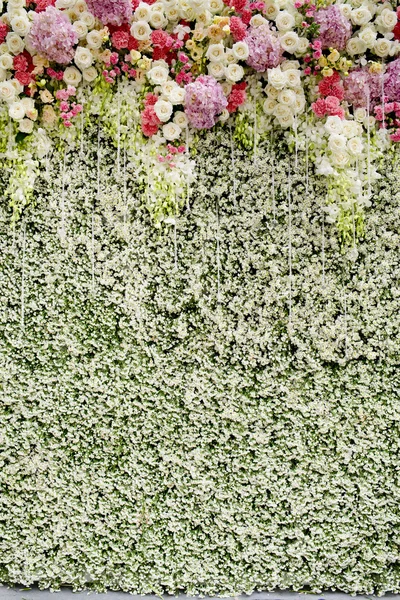 Bunte Blumen mit grüner Wand als Hochzeitskulisse — Stockfoto