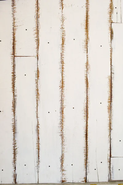 Beyaz ahşap dokulu doğal desenler arka plan ve