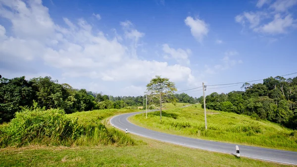 Beautiful view of the sunshine in a field on a rural road — Stock Photo, Image