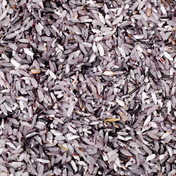 Svart klibbigt ris på vit platta isolerade över vit bakgrund. — Stockfoto
