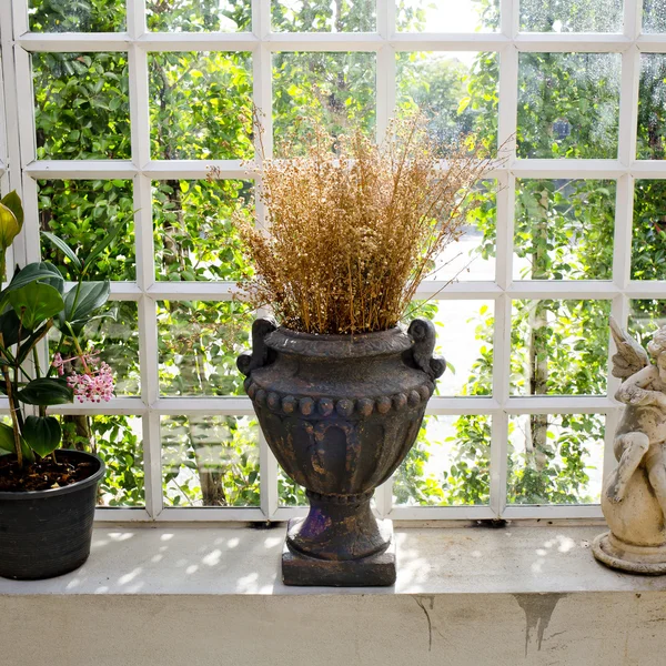 Vazo ve kuru çiçek dekorasyon — Stok fotoğraf
