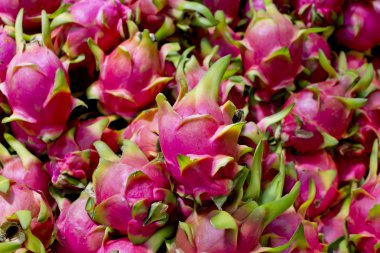 Ejderha fruitbackground doku