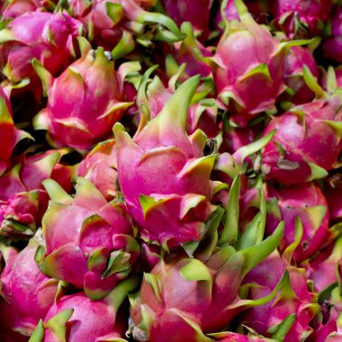 Ejderha fruitbackground doku