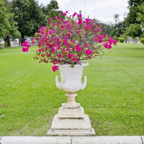 自然公園のピンク花と大きなセラミック白鍋 — ストック写真