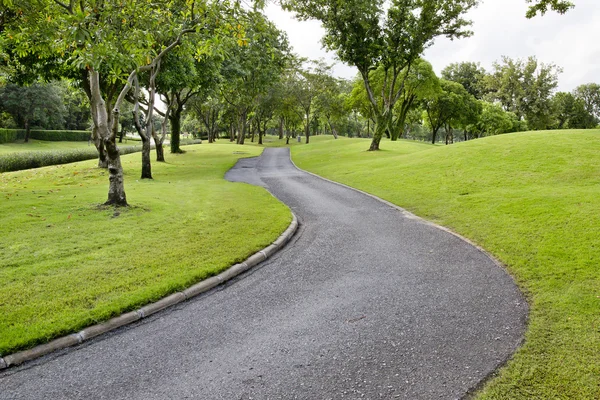 Road in the park — Stock Photo, Image