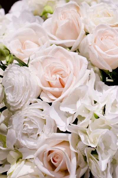 White blossom flowers background — Stock Photo, Image