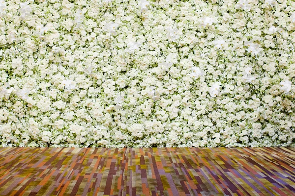 Белый цветок на фоне цветов — стоковое фото