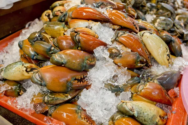 Stone krab klauwen aan een ice in Thailand markt — Stockfoto