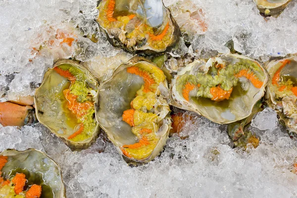 Fresh crustacean eggs on ice sale in the market — Stock Photo, Image