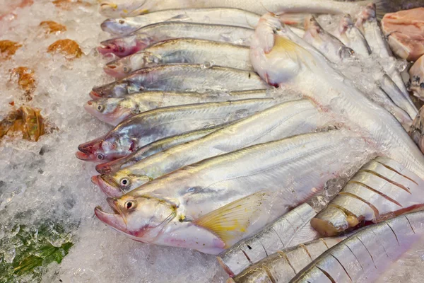 Pesce fresco sul ghiaccio al mercato in Thailandia — Foto Stock