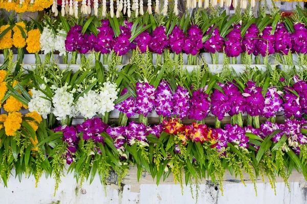 Banda místních thajská orchid květinový trh pro Buddhy. orchidej b — Stock fotografie