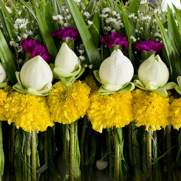 Bos van lokale lotus op markt in Thailand voor buddha. Handvol — Stockfoto