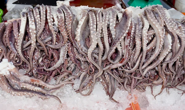 Fresh octopus arms on ice in market — Stock Photo, Image