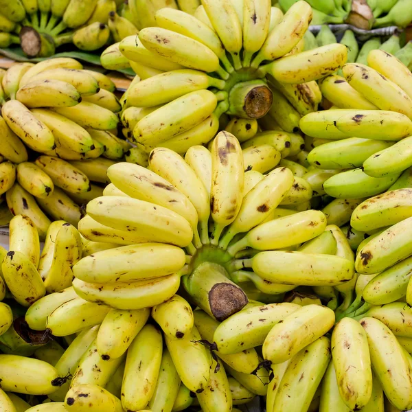 Bunch of cultivated banana background — Stock Photo, Image