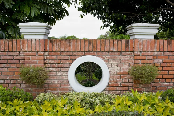 Planter på en rød mur - Stock-foto