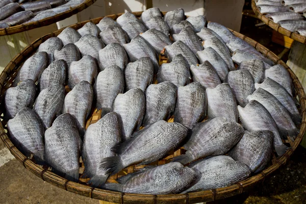 Molti pesci Gourami secchi su piatti di bambù — Foto Stock