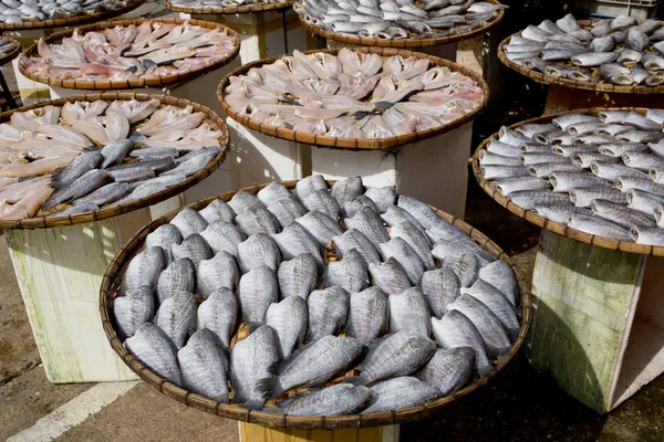 多くは竹プレート グーラミ fishs を乾燥します。 — ストック写真