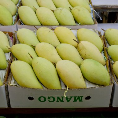 Markette Tayland mangoları. Birinci sınıf mango.