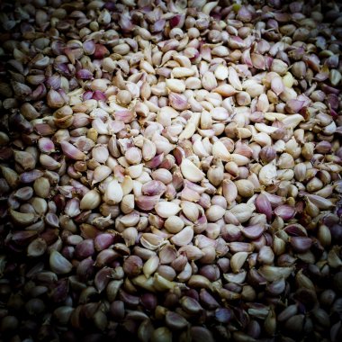 Sarmısak, arka plan yakın çekim