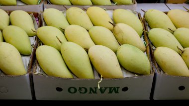 Markette Tayland mangoları. Birinci sınıf mango.