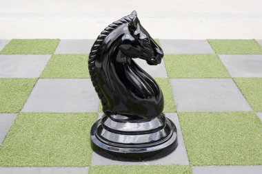 Büyük satranç tahtası - büyük at satranç