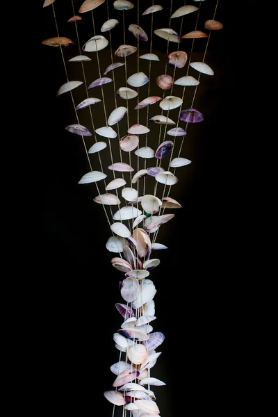Seashells em fundo fio no resort tropical — Fotografia de Stock