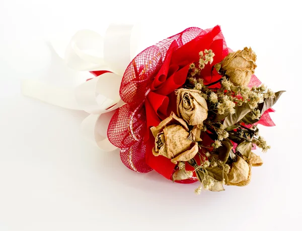 Isolated dried rose on white background — Stock Photo, Image