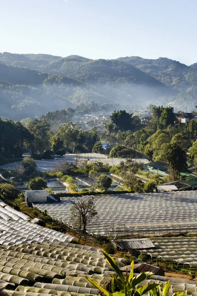 在泰国的水培蔬菜种植园 — ストック写真