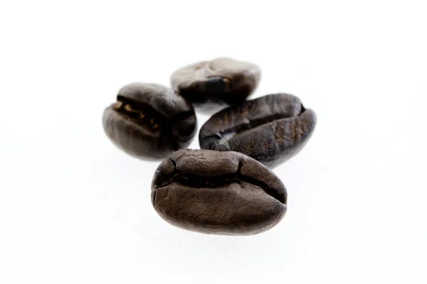 Coffee beans isolated — Stock Photo, Image