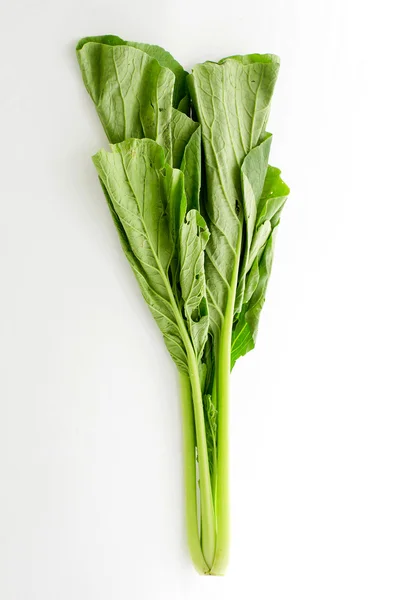 Chinese Cabbage isolated on white background — Stock Photo, Image