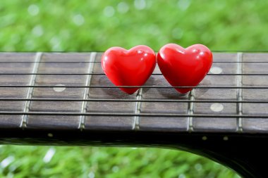 Kalp boyun gitar ve dizeleri çimenlerin üzerinde