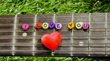 Kalp boyun gitar ve dizeleri çimenlerin üzerinde