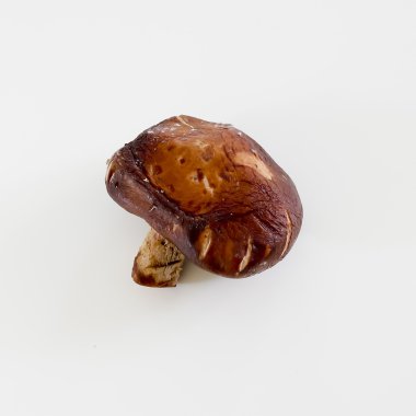 mantar ve beyaz arka plan üzerinde izole ham mantar