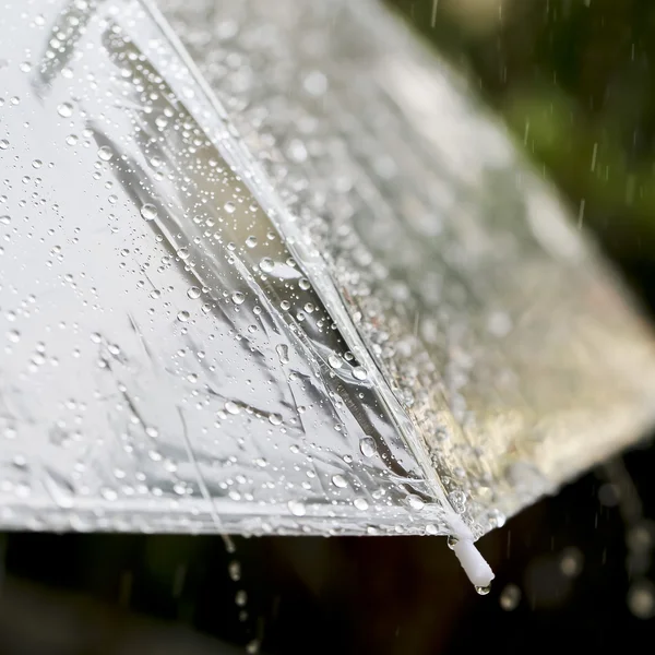 Deštník v dešti v vintage tón — Stock fotografie
