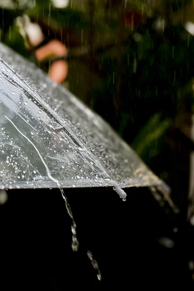 Vintage tonda yağmurda şemsiye — Stok fotoğraf