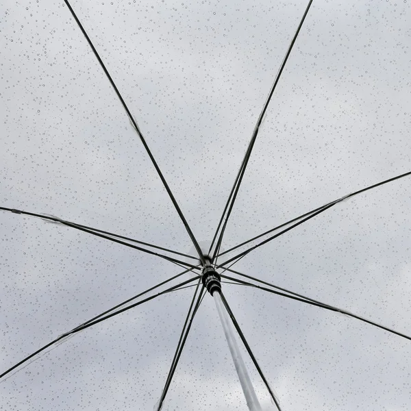 Umbrella in the rain — Stock Photo, Image