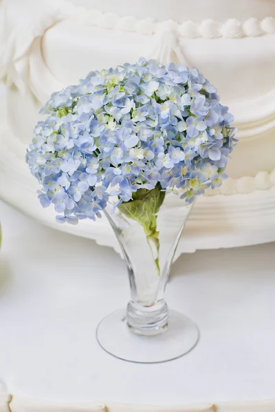 Blomma dekoration — Stockfoto