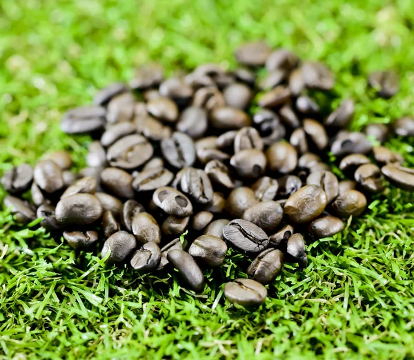 Kaffeebohnen auf Gras — Stockfoto