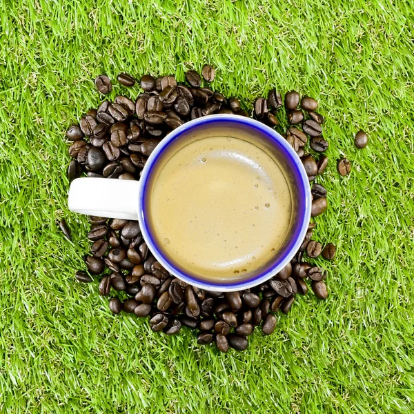 Close-up of cappuccino foam on grass — Stock Photo, Image