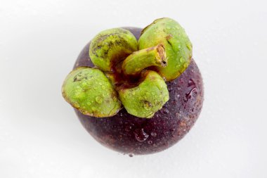 Mangosteen
