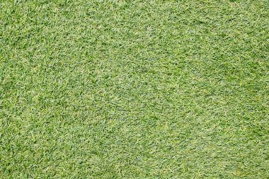 yeşil çimen arkaplan dokusu.