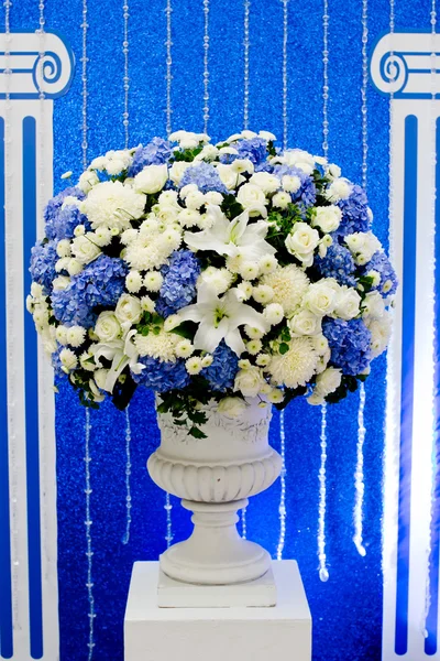 Flores azules y blancas y verdes en maceta de cerámica — Foto de Stock
