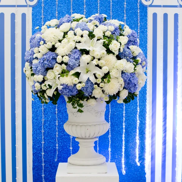 Blå og hvide og grønne blomster i keramisk potte - Stock-foto