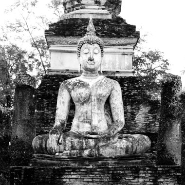 Buddha Statue Wat Mahathat tapınak Sukhothai tarihsel par
