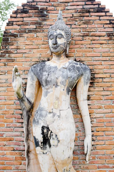 Posąg Buddy w świątyni Wat Mahathat w Sukhothai historycznym równi — Zdjęcie stockowe